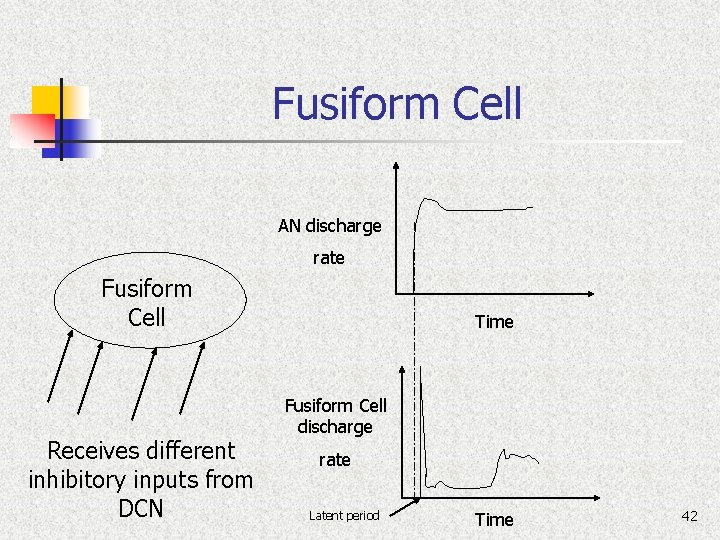 Fusiform Cell AN discharge rate Fusiform Cell Receives different inhibitory inputs from DCN Time