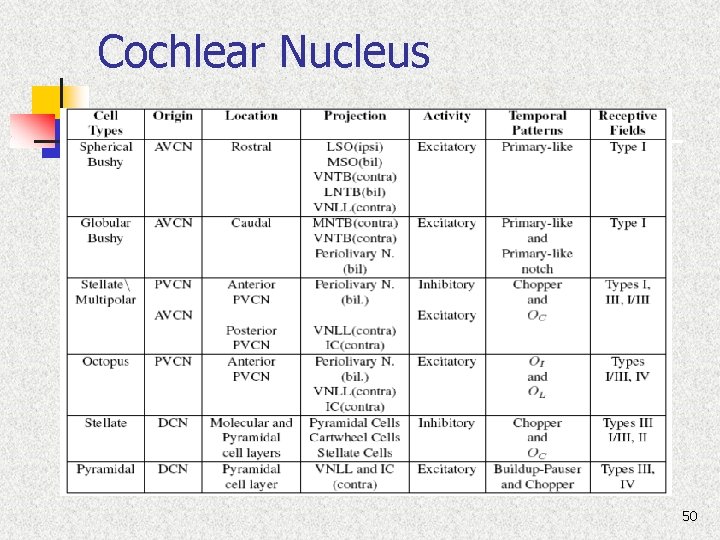 Cochlear Nucleus 50 