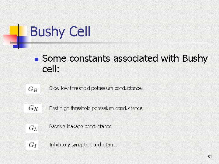 Bushy Cell n Some constants associated with Bushy cell: Slow threshold potassium conductance Fast