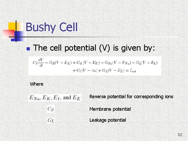 Bushy Cell n The cell potential (V) is given by: Where Reverse potential for