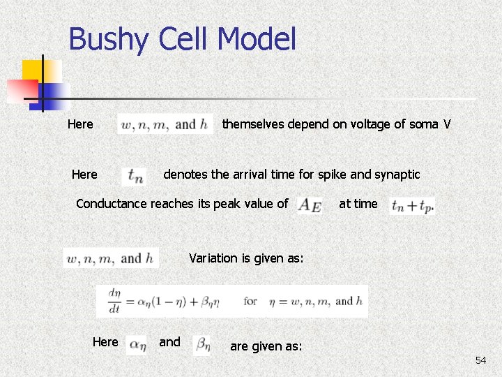 Bushy Cell Model Here themselves depend on voltage of soma V denotes the arrival