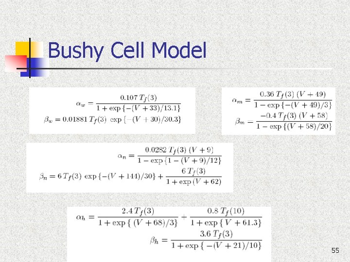 Bushy Cell Model 55 