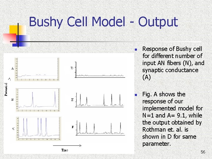 Bushy Cell Model - Output n n Response of Bushy cell for different number
