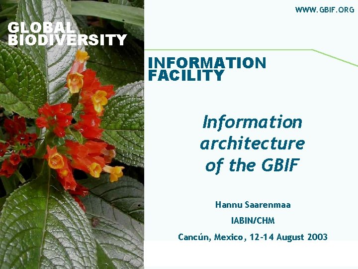 WWW. GBIF. ORG GLOBAL BIODIVERSITY INFORMATION FACILITY Information architecture of the GBIF Hannu Saarenmaa