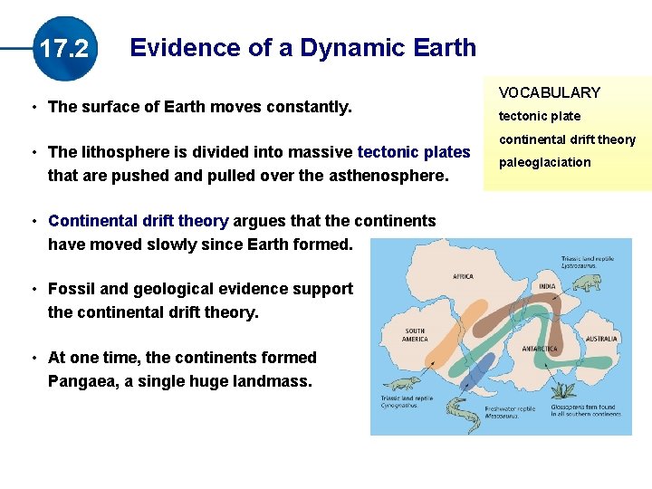 17. 2 Evidence of a Dynamic Earth • The surface of Earth moves constantly.