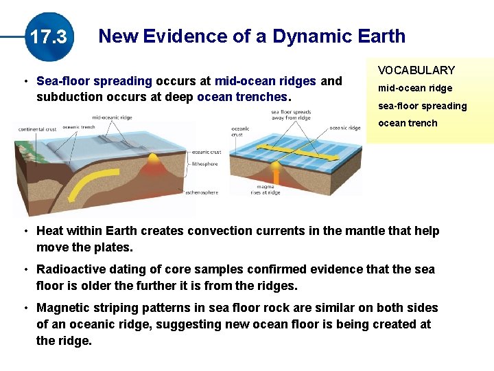 17. 3 New Evidence of a Dynamic Earth • Sea-floor spreading occurs at mid-ocean