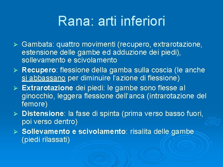 Rana: arti inferiori Ø Ø Ø Gambata: quattro movimenti (recupero, extrarotazione, estensione delle gambe