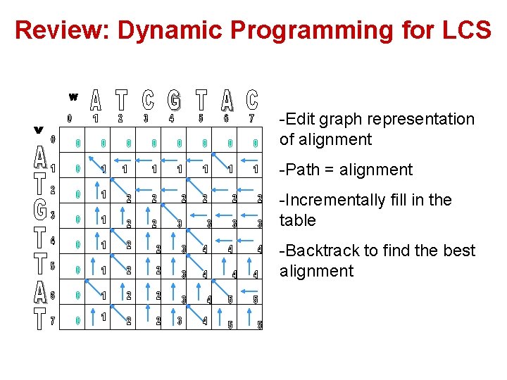 Pairwise Sequence Alignment II Lecture for CS 498