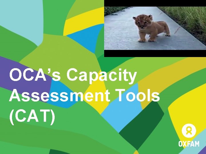 OCA’s Capacity Assessment Tools (CAT) 