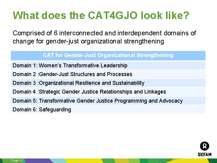 What does the CAT 4 GJO look like? Comprised of 6 interconnected and interdependent
