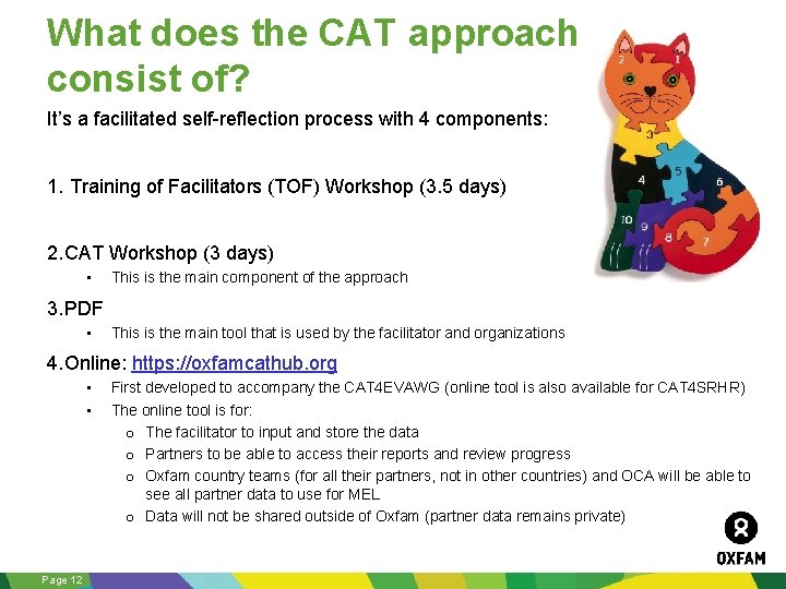 What does the CAT approach consist of? It’s a facilitated self-reflection process with 4