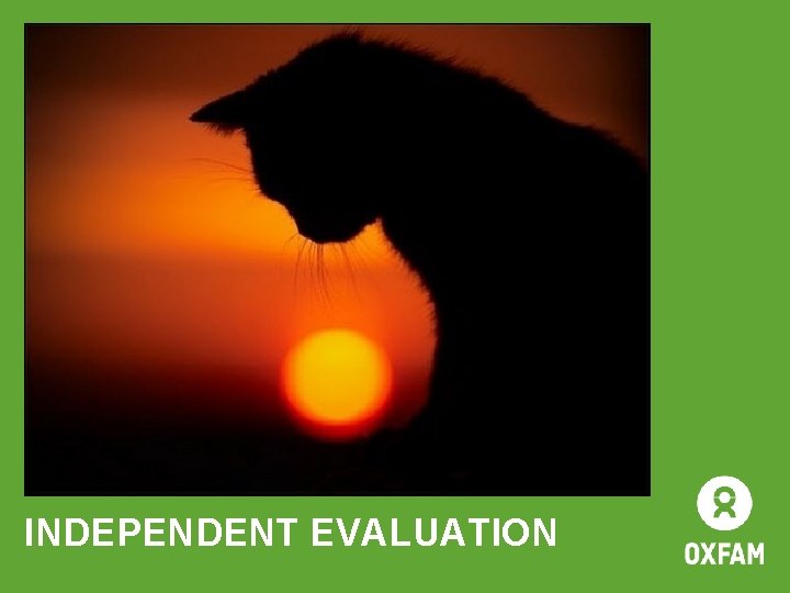 INDEPENDENT EVALUATION 