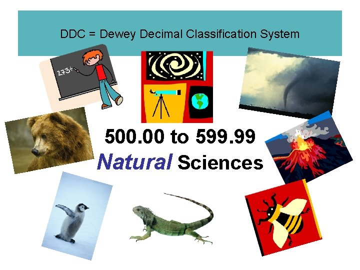 DDC = Dewey Decimal Classification System 500. 00 to 599. 99 Natural Sciences 