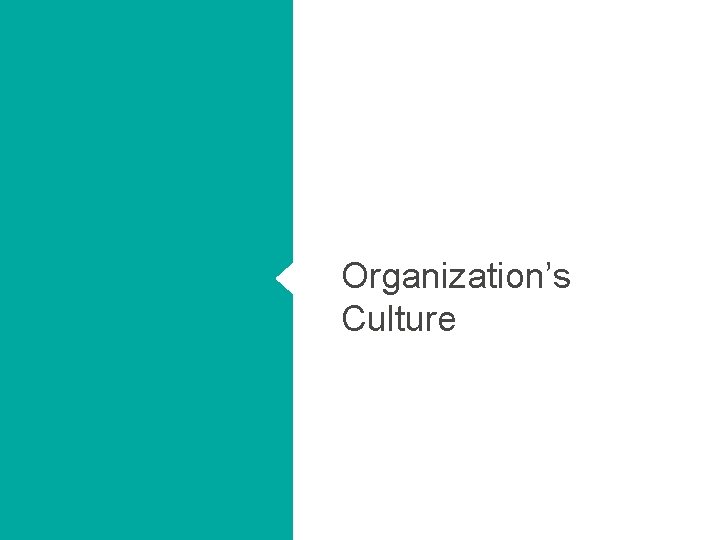 Organization’s Culture 