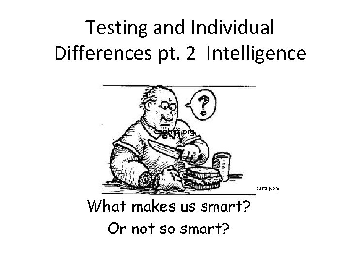 Testing and Individual Differences pt. 2 Intelligence cantrip. org What makes us smart? Or