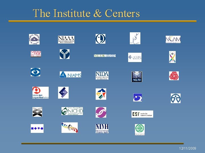 The Institute & Centers 12/11/2009 