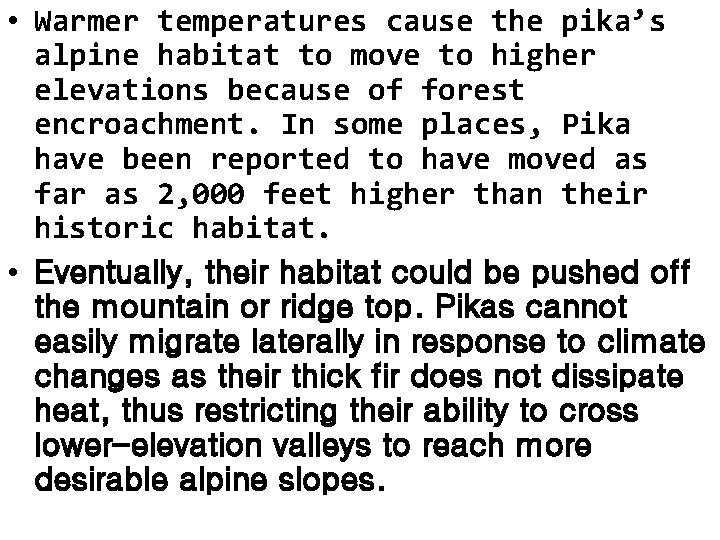  • Warmer temperatures cause the pika’s alpine habitat to move to higher elevations