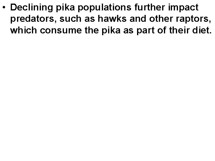  • Declining pika populations further impact predators, such as hawks and other raptors,