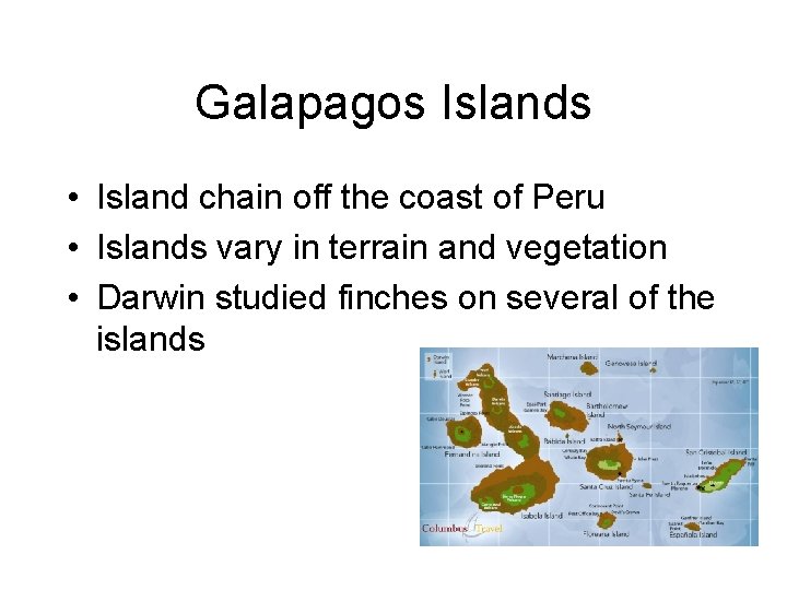 Galapagos Islands • Island chain off the coast of Peru • Islands vary in