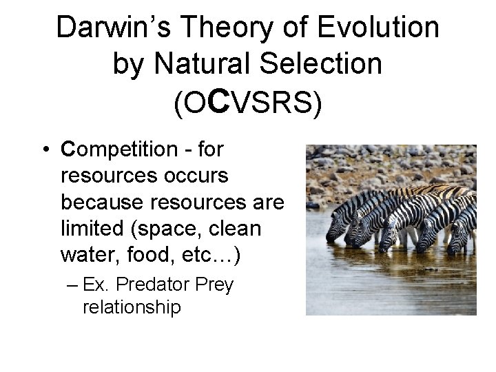 Darwin’s Theory of Evolution by Natural Selection (OCVSRS) • Competition - for resources occurs