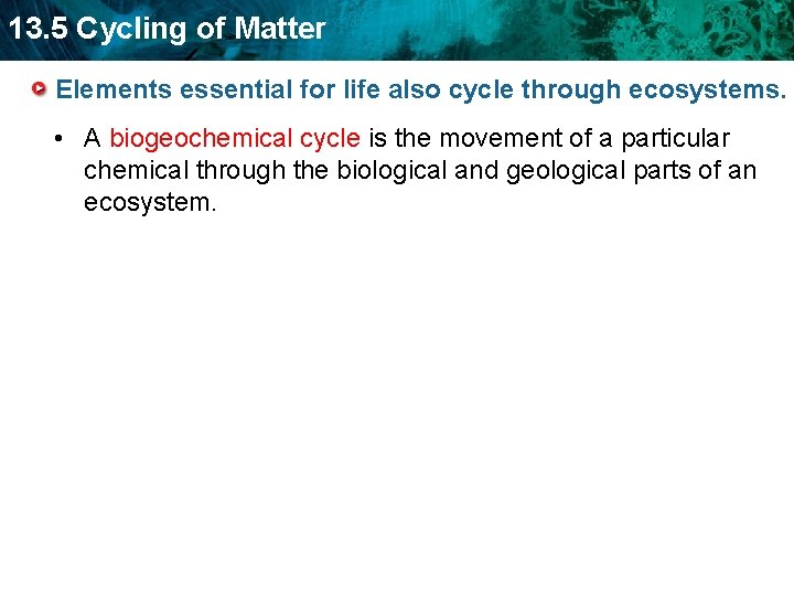 13. 5 Cycling of Matter Elements essential for life also cycle through ecosystems. •