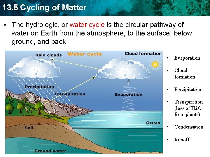 13. 5 Cycling of Matter • The hydrologic, or water cycle is the circular