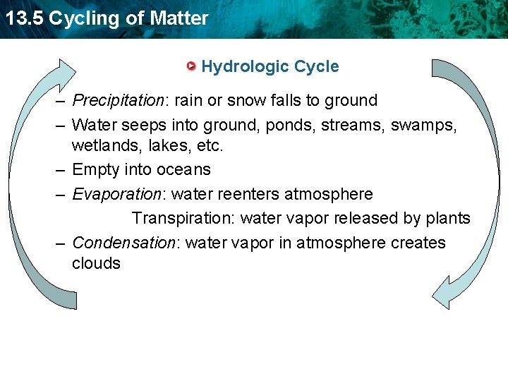 13. 5 Cycling of Matter Hydrologic Cycle – Precipitation: rain or snow falls to