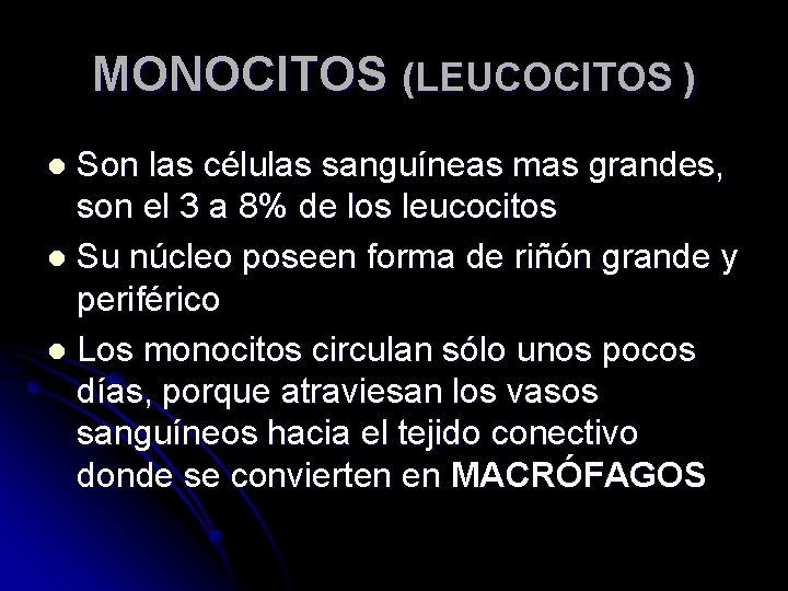 MONOCITOS (LEUCOCITOS ) Son las células sanguíneas mas grandes, son el 3 a 8%