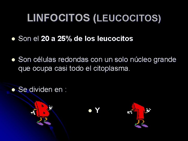 LINFOCITOS (LEUCOCITOS) l Son el 20 a 25% de los leucocitos l Son células