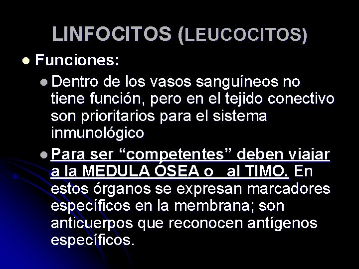 LINFOCITOS (LEUCOCITOS) l Funciones: l Dentro de los vasos sanguíneos no tiene función, pero