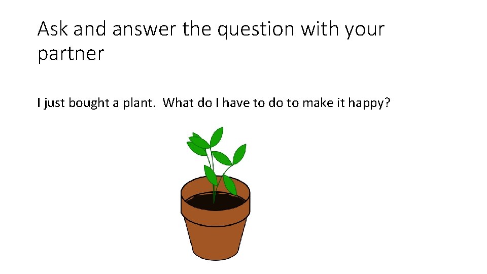Ask and answer the question with your partner I just bought a plant. What