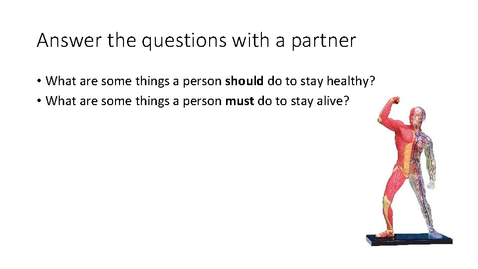 Answer the questions with a partner • What are some things a person should