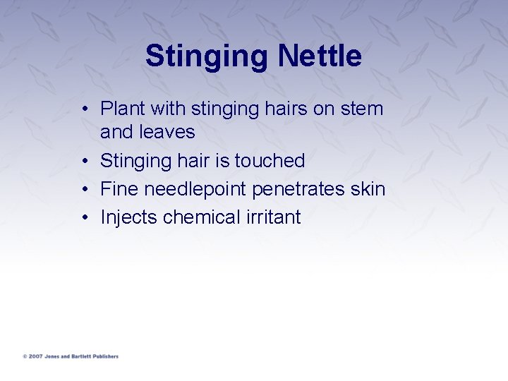 Stinging Nettle • Plant with stinging hairs on stem and leaves • Stinging hair Stinging Nettle • Plant with stinging hairs on stem and leaves • Stinging hair