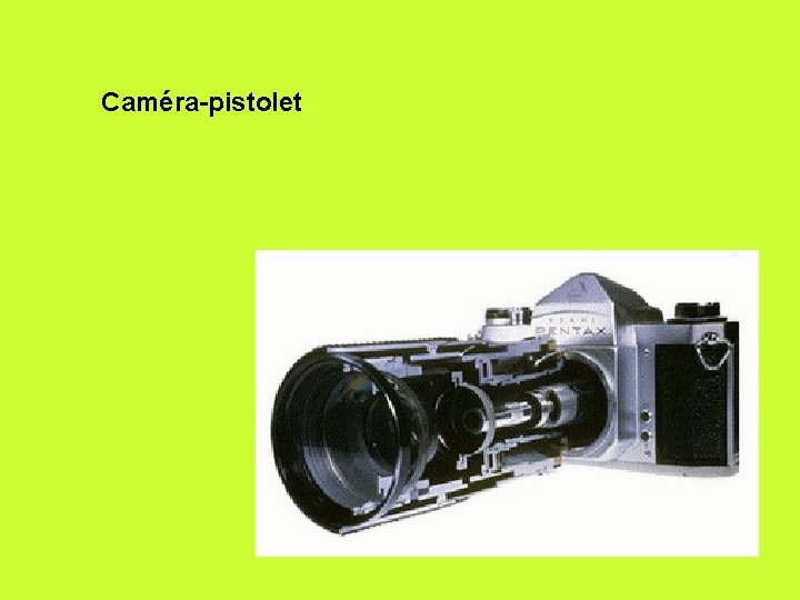 Caméra-pistolet 