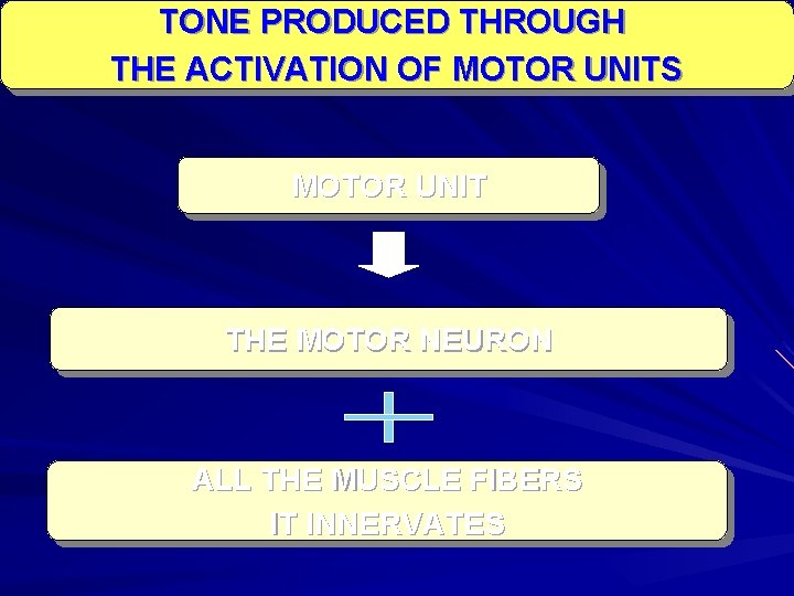 TONE PRODUCED THROUGH THE ACTIVATION OF MOTOR UNITS MOTOR UNIT THE MOTOR NEURON ALL TONE PRODUCED THROUGH THE ACTIVATION OF MOTOR UNITS MOTOR UNIT THE MOTOR NEURON ALL