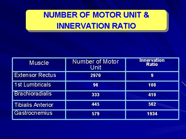 NUMBER OF MOTOR UNIT & INNERVATION RATIO Number of Motor Unit Innervation Ratio 2970 NUMBER OF MOTOR UNIT & INNERVATION RATIO Number of Motor Unit Innervation Ratio 2970