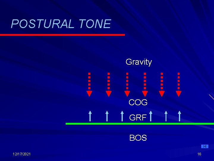 POSTURAL TONE Gravity COG GRF BOS 12/17/2021 16 POSTURAL TONE Gravity COG GRF BOS 12/17/2021 16