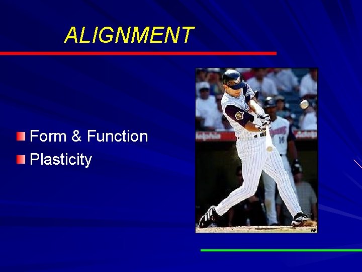 ALIGNMENT Form & Function Plasticity ALIGNMENT Form & Function Plasticity