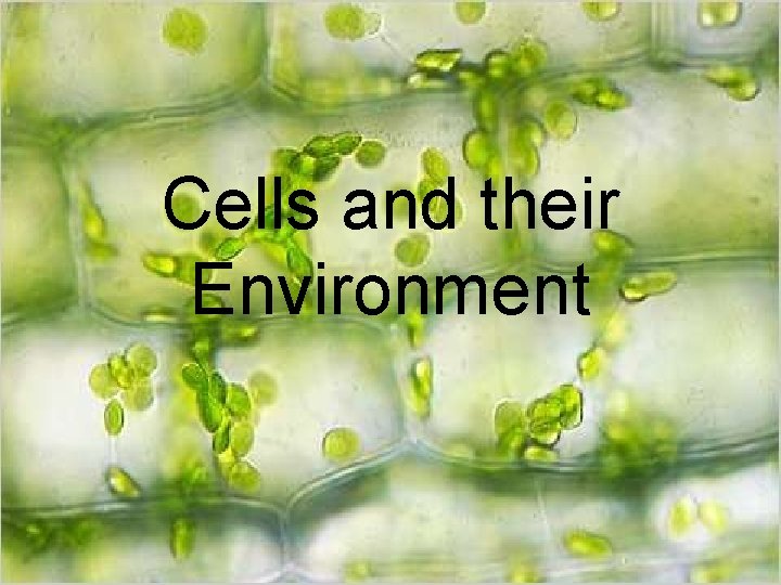 Cells and their Environment 