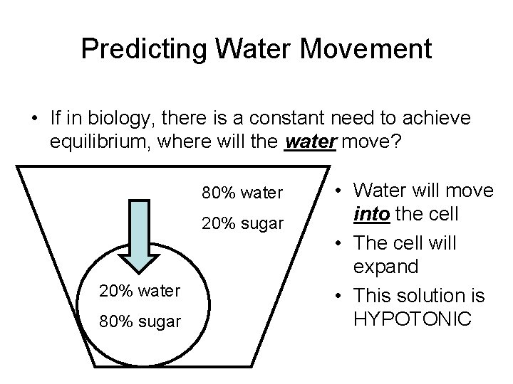 Predicting Water Movement • If in biology, there is a constant need to achieve