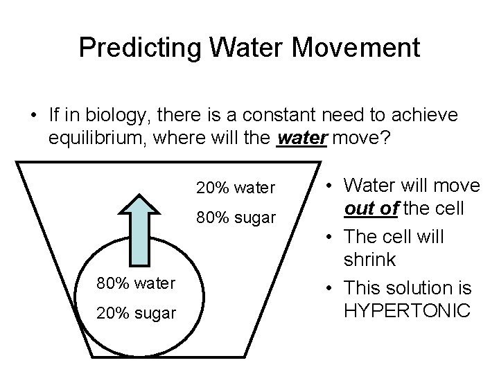 Predicting Water Movement • If in biology, there is a constant need to achieve