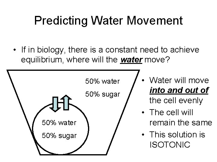 Predicting Water Movement • If in biology, there is a constant need to achieve