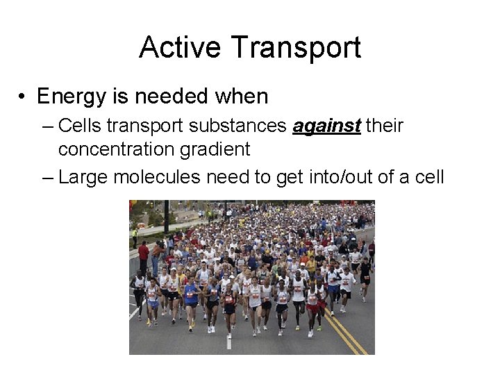 Active Transport • Energy is needed when – Cells transport substances against their concentration