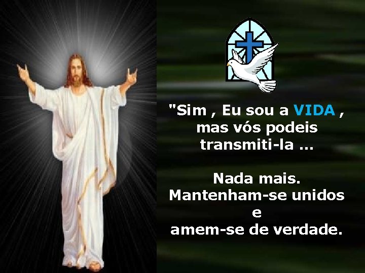 "Sim , Eu sou a VIDA , mas vós podeis transmiti-la … Nada mais.