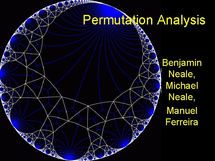 Permutation Analysis Benjamin Neale, Michael Neale, Manuel Ferreira 