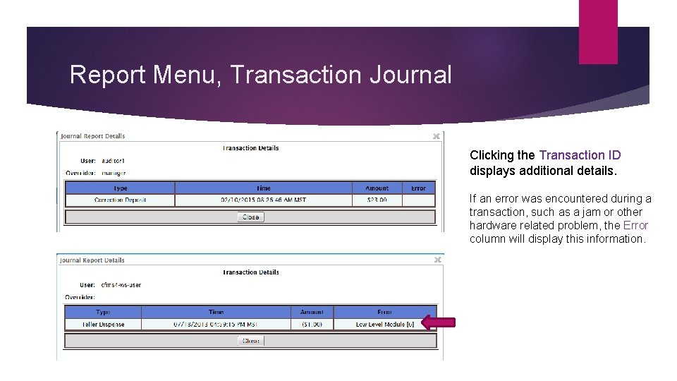 Report Menu, Transaction Journal Clicking the Transaction ID displays additional details. If an error