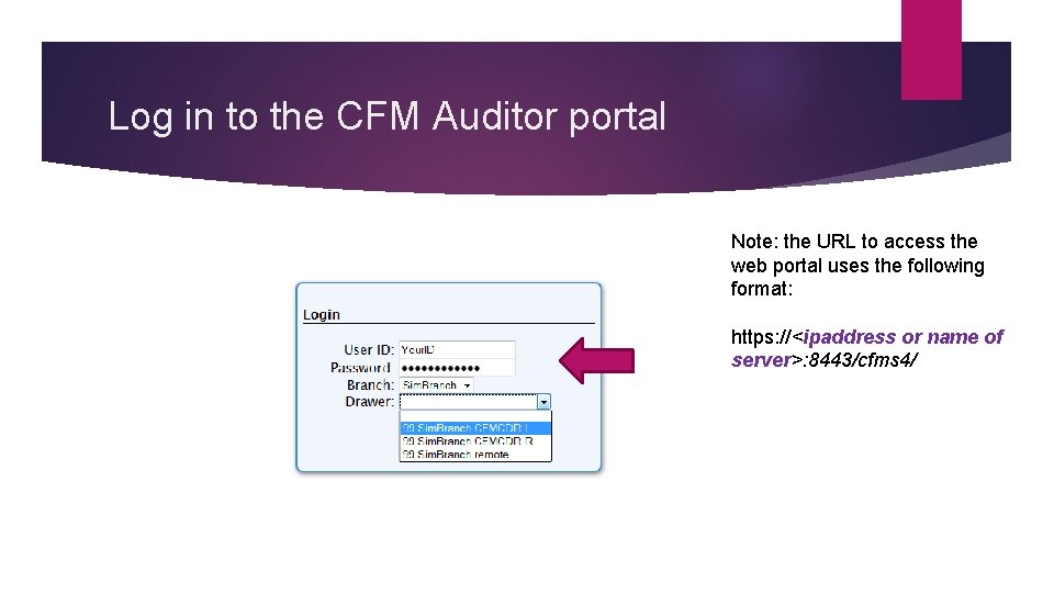 Log in to the CFM Auditor portal Note: the URL to access the web