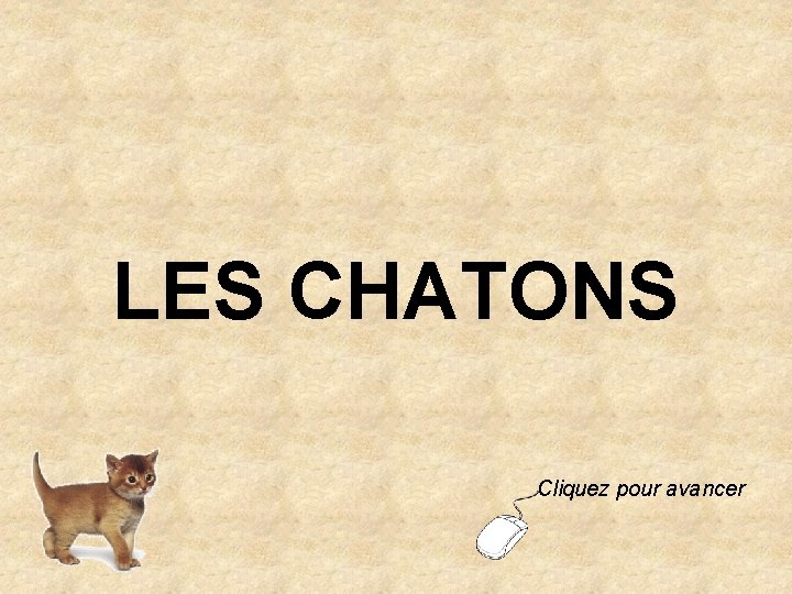 LES CHATONS Cliquez pour avancer 