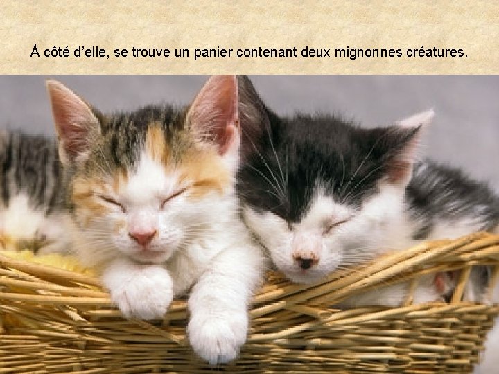 À côté d’elle, se trouve un panier contenant deux mignonnes créatures. 