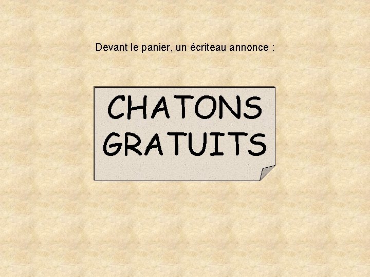 Devant le panier, un écriteau annonce : CHATONS GRATUITS 